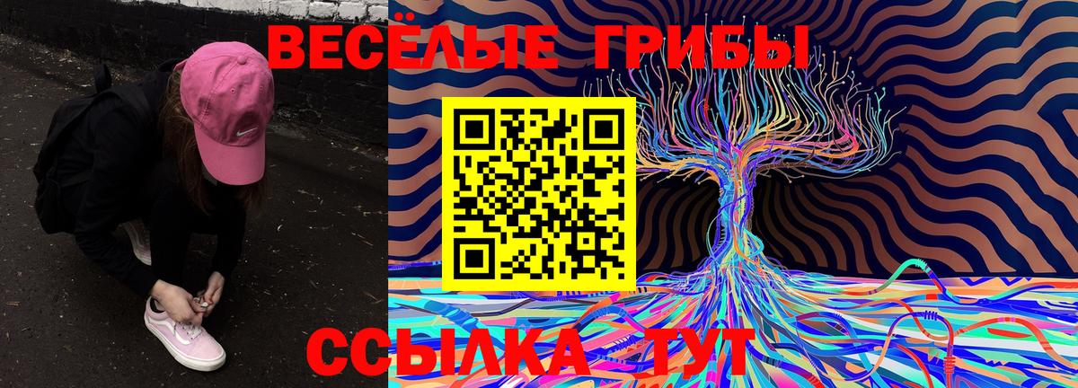 Галлюциногенные грибы Psilocybine cubensis Жигулёвск