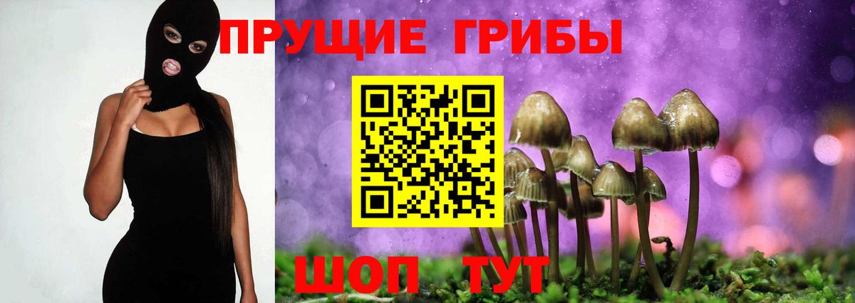 Псилоцибиновые грибы мицелий  Вход с VPN  Жигулёвск  Галлюциногенные грибы Psilocybe 